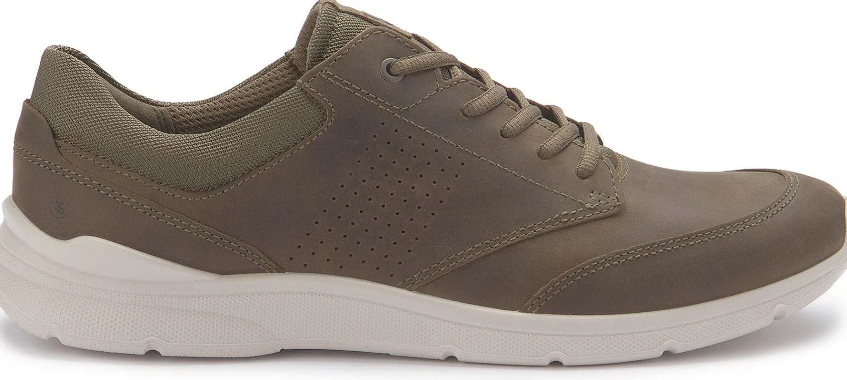 Sneaker|Schnürschuhe|Ecco Sneaker in Übergrößen Grün