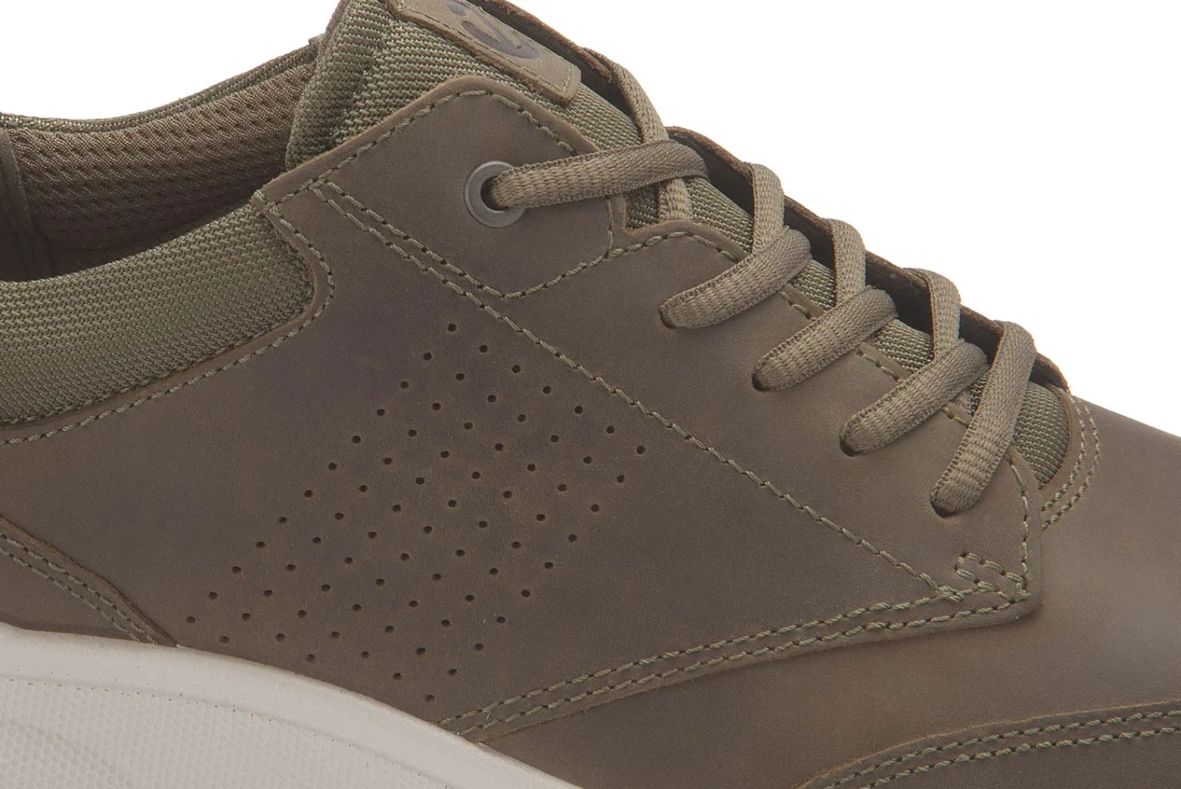 Sneaker|Schnürschuhe|Ecco Sneaker in Übergrößen Grün