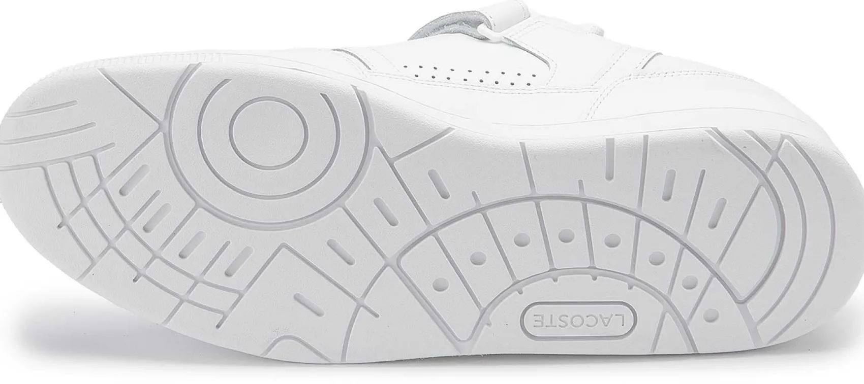 Sneaker|Sneaker|Lacoste Sneaker in Übergrößen
