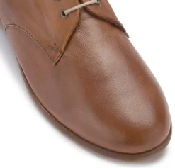 Schnürschuhe|Everybody Schnürschuh in Übergrößen Braun