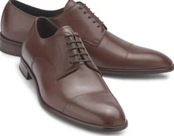 Schnürschuhe|Business-Schuhe|Horsch Schuhe Schnürschuh in Übergrößen Braun