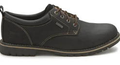 Schnürschuhe|Dockers Schnürschuh in Übergrößen Schwarz