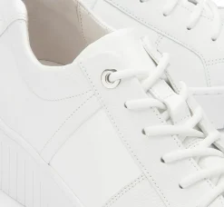 Sneaker|Schnürschuhe|Gabor Sneaker in Übergrößen