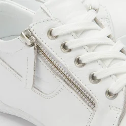 Sneaker|Schnürschuhe|Horsch Schuhe Sneaker in Untergrößen