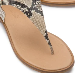 Zehentrenner|Sandalen|Horsch Schuhe Zehentrenner in Übergrößen Multicolor