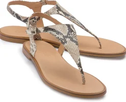 Zehentrenner|Sandalen|Horsch Schuhe Zehentrenner in Untergrößen Multicolor