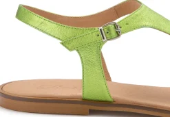 Zehentrenner|Sandalen|Horsch Schuhe Zehentrenner in Untergrößen Grün